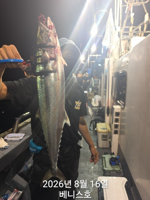 KakaoTalk_20260817_054949740_17.jpg
