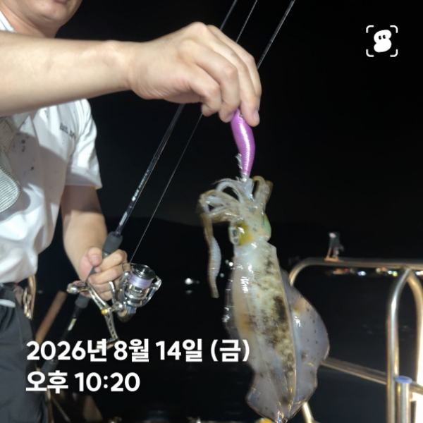 신신낚시 강구점 신신호_사진_20260815_18.jpg