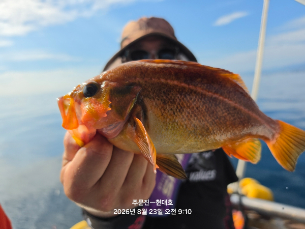 D75A9C07-ECBF-484E-A38E-99B62575EA0E.jpeg