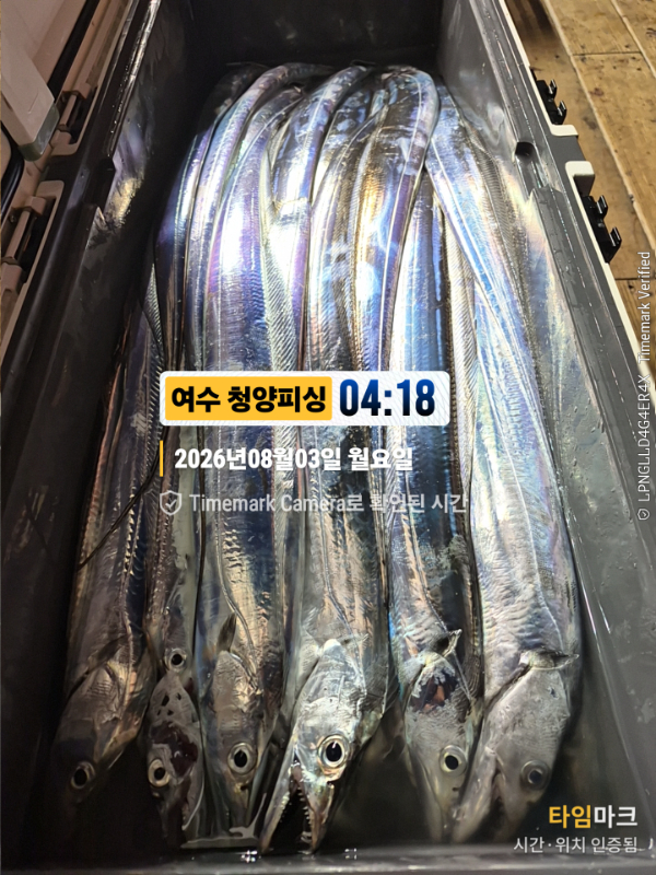2026-08-03 04.18.48__(제목-여수 청양피싱).jpg