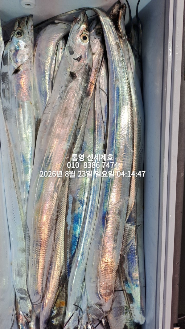 1787435990044.jpg
