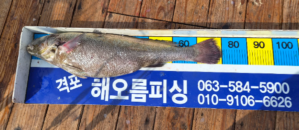 7016.jpg