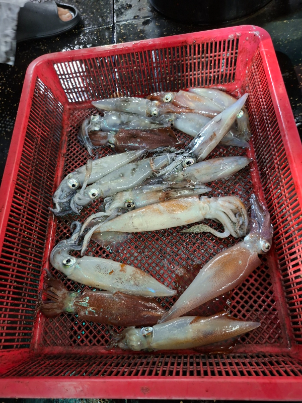 KakaoTalk_20260814_002931234_05.jpg