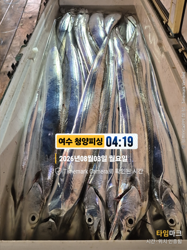 2026-08-03 04.19.10__(제목-여수 청양피싱).jpg