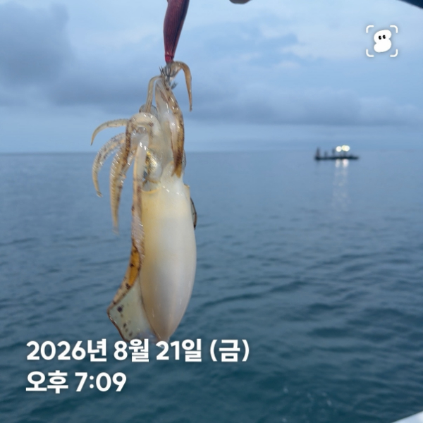 신신낚시 강구점 신신호_사진_20260822_12.jpg