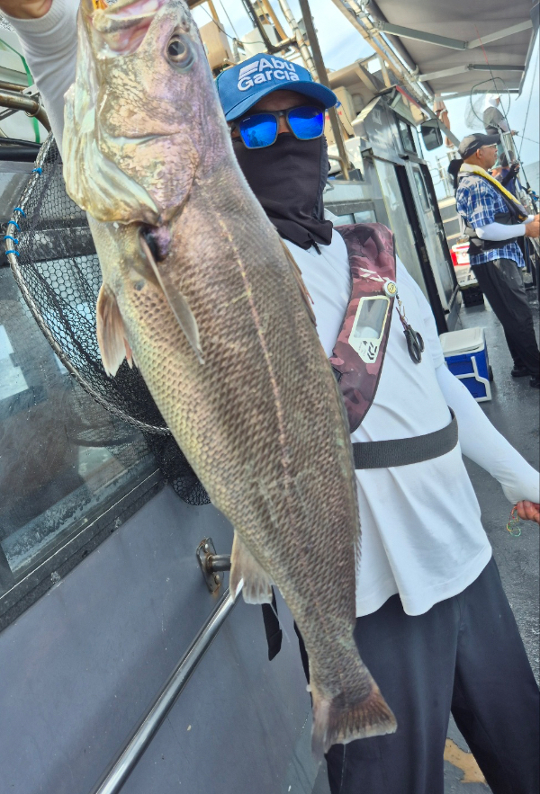 KakaoTalk_Image_2026-08-10-09-13-24_003.jpeg