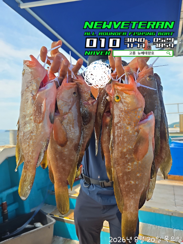 60413.jpg