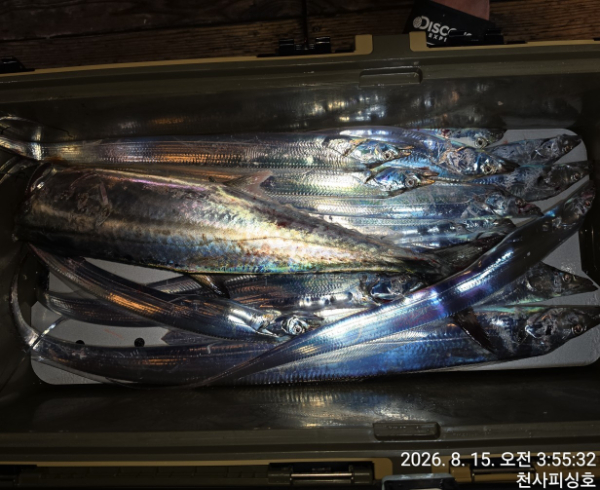 1004피싱_사진_20260815_11.jpg