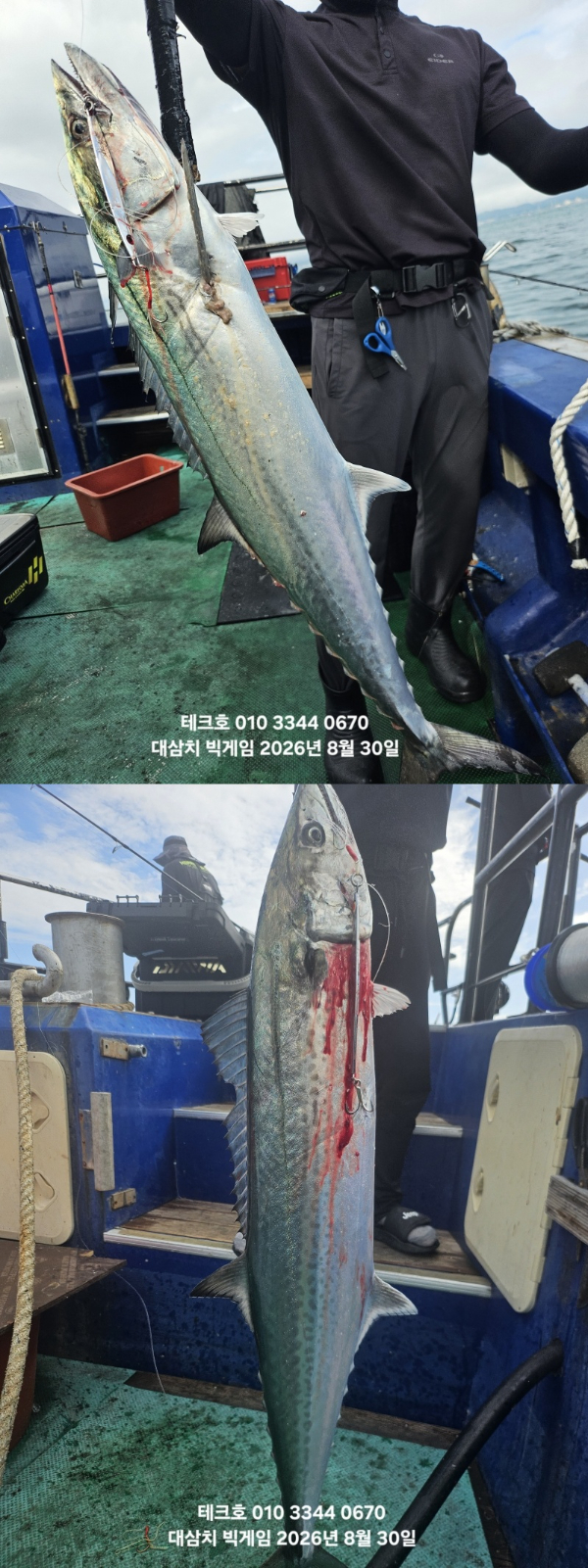 KakaoTalk_20260830_094816926_03-vert.jpg