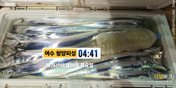 2026-08-20 04.41.38__(제목-여수 청양피싱).jpg