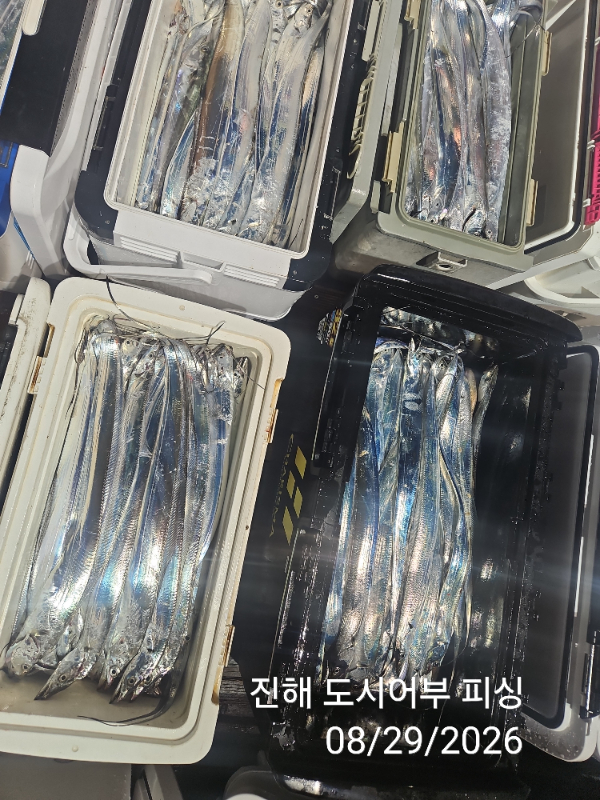 KakaoTalk_20260829_050630697_11.jpg