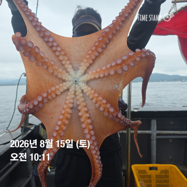 공현진낚시마트(돌핀호)_사진_20260815_10.jpg
