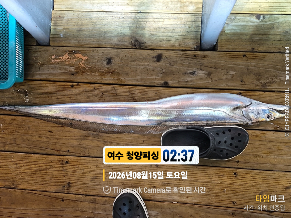 2026-08-15 02.37.35__(제목-여수 청양피싱).jpg
