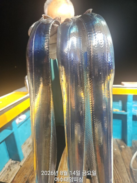 1000055166.jpg
