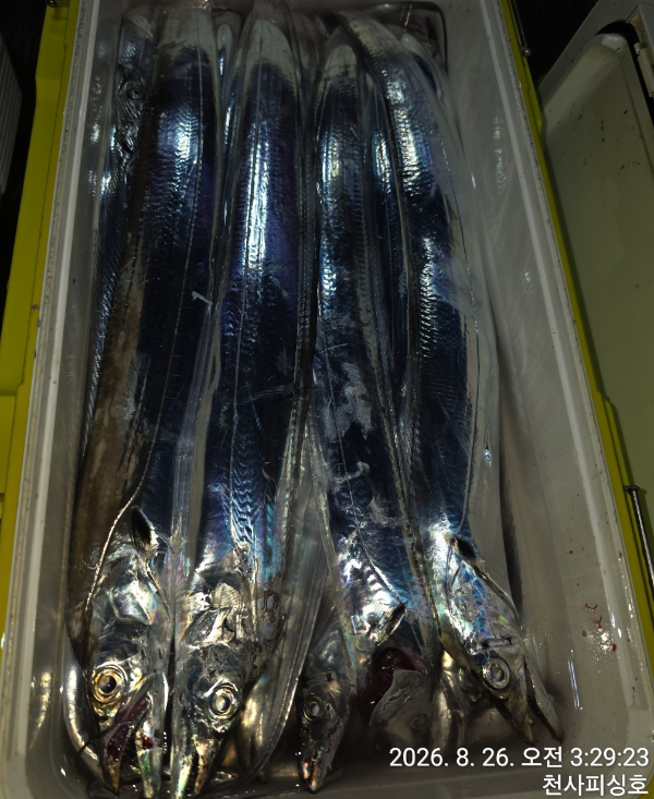 1004피싱_사진_20260826_5.jpg