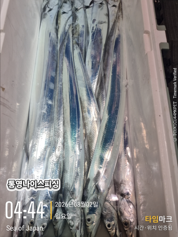 2026-08-02 04.44.10_Japan.jpg