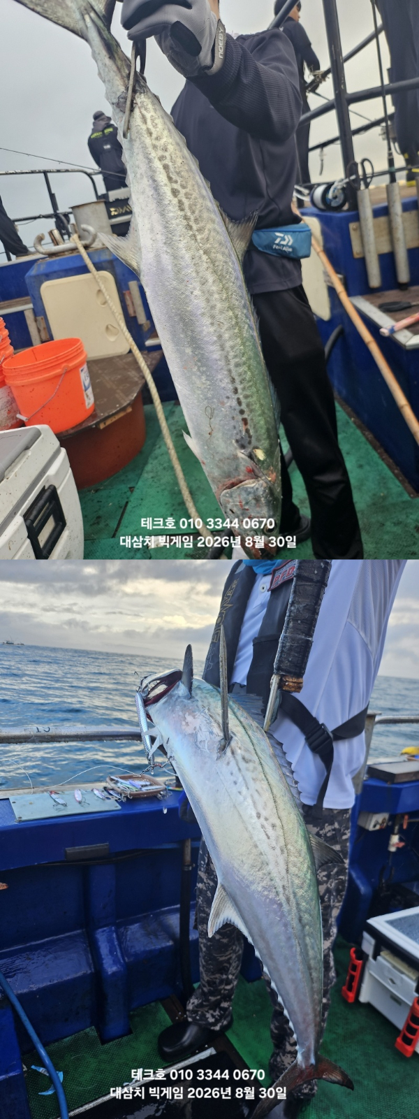 KakaoTalk_20260830_065958700_10-vert.jpg
