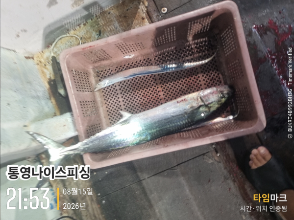 2026-08-15 21.53.24__(통영나이스피싱).jpg
