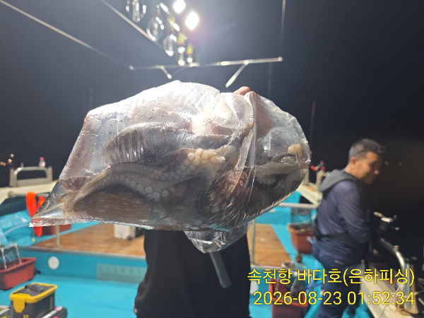 IMG_20260823_015234.jpg