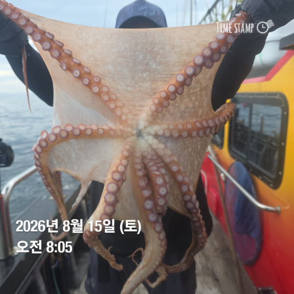공현진낚시마트(돌핀호)_사진_20260815_4.jpg