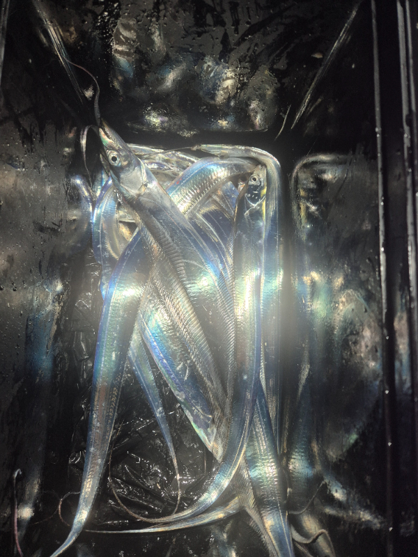 20260830_203314.jpg