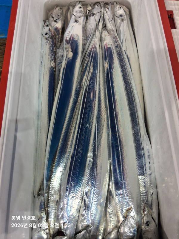 8277004F-04E7-41A0-8290-CAF101781529.jpeg