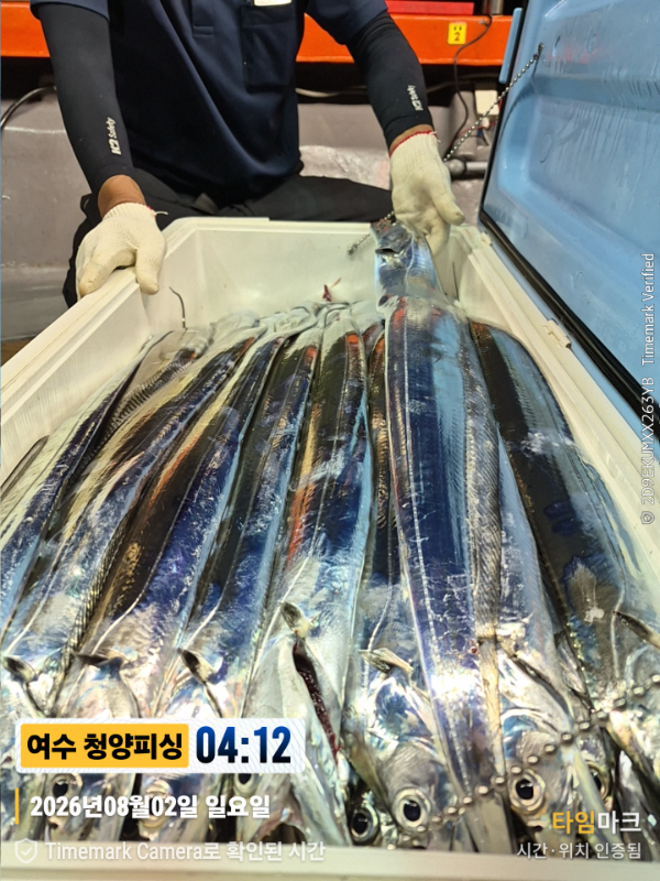 2026-08-02 04.12.58__(제목-여수 청양피싱).jpg