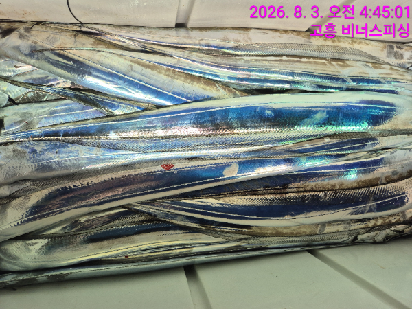 1000054564.jpg
