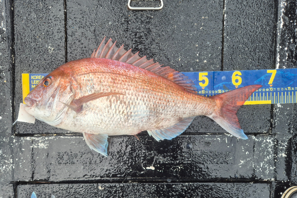 20260815_110643.jpg