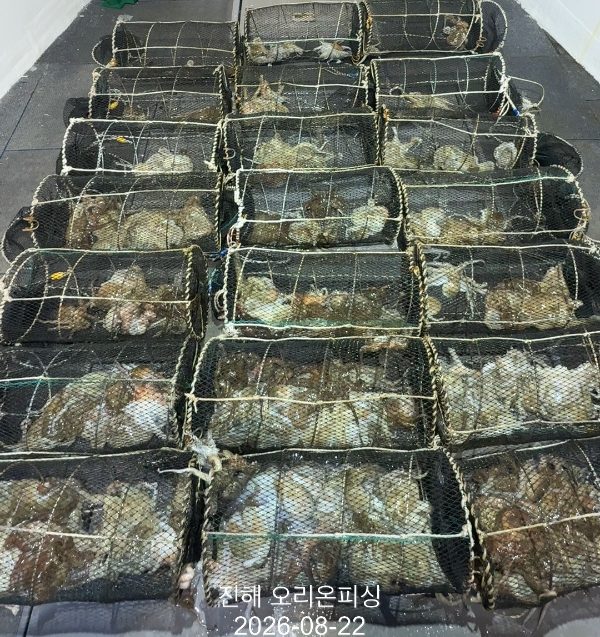 KakaoTalk_20260822_031602948.jpg