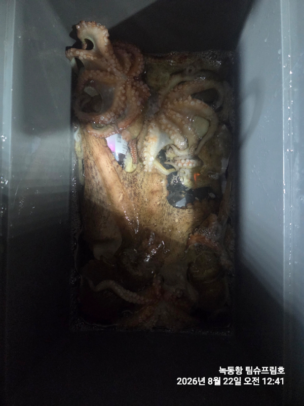 쎄븐피싱클럽(선상 버스출조전문)_사진_20260822_13.jpg