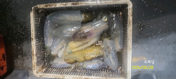 DateCamera0828233903.jpg