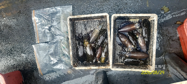 DateCamera0829084824.jpg
