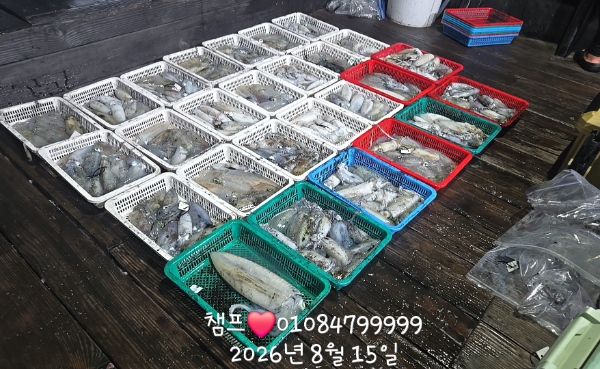 1000062207.jpg