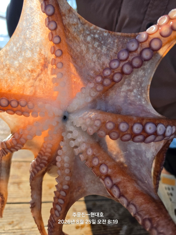 13A05986-C7E9-4E4A-A8C6-D08FFAA9D251.jpeg