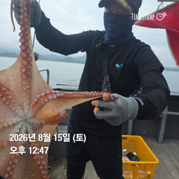 공현진낚시마트(돌핀호)_사진_20260815_13.jpg