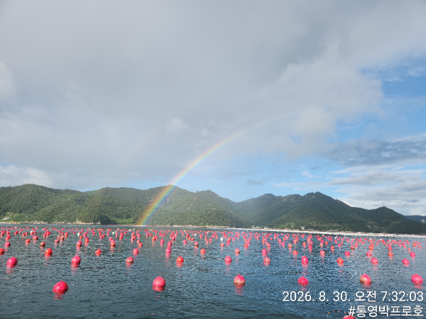 TimePhoto_20260830_073203.jpg