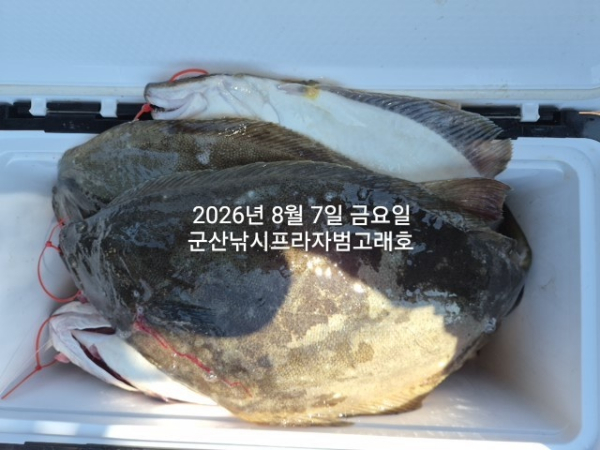 KakaoTalk_20260807_154956921_10.jpg