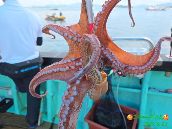 쎄븐피싱클럽(선상 버스출조전문)_사진_20260823_14.jpg
