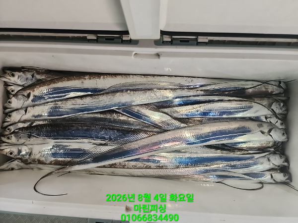 KakaoTalk_20260804_062631740_25.jpg