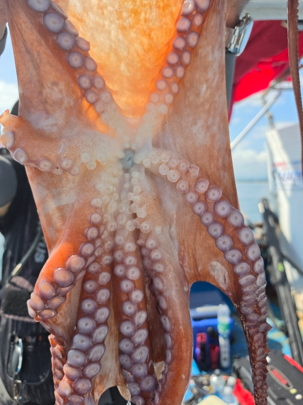 AB00AD2F-537F-4405-ABF3-838E381504F3.jpeg