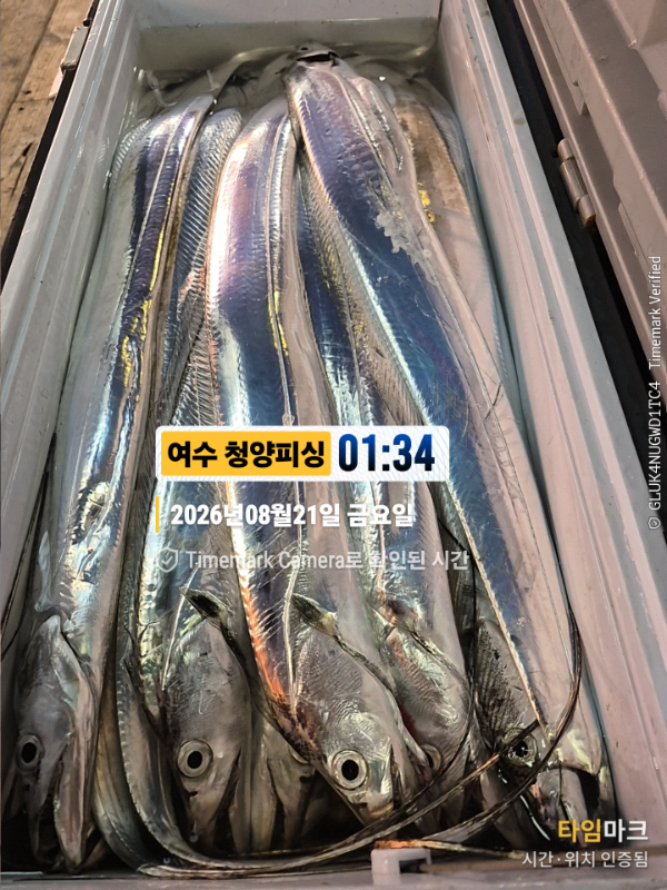 2026-08-21 01.34.05__(제목-여수 청양피싱).jpg