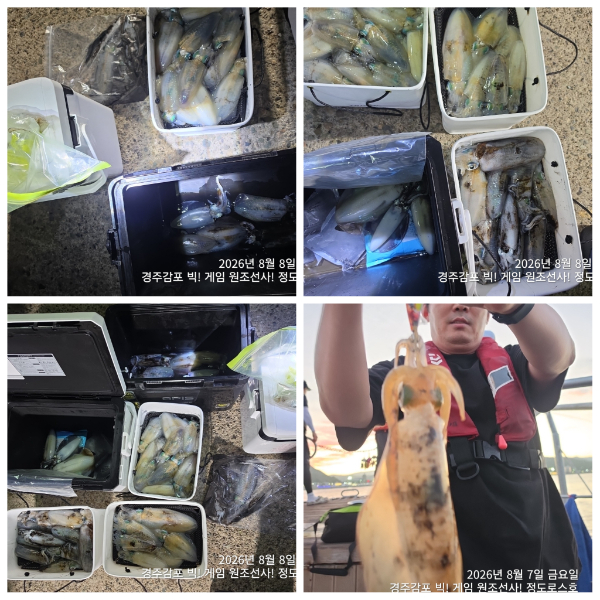 PhotoCollage_1786240222152.jpg