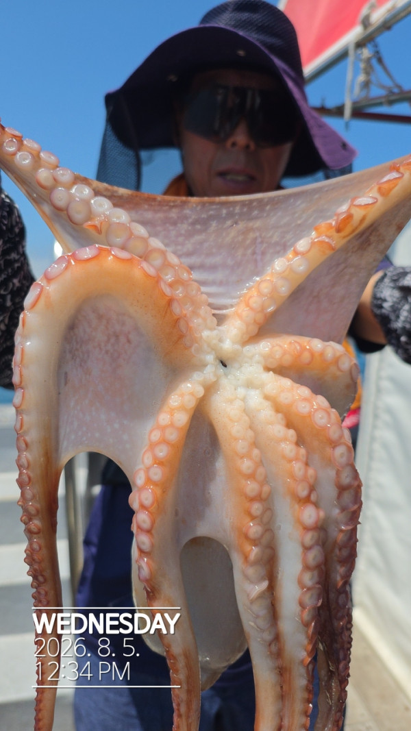 공현진낚시마트(돌핀호)_사진_20260805_12.jpg