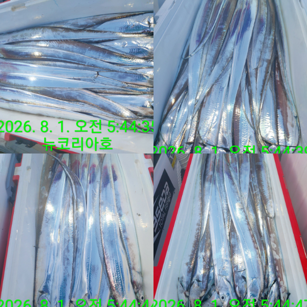 1000084093.jpg