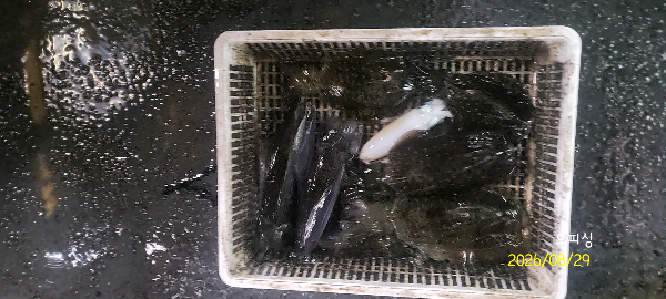 DateCamera0829232929.jpg