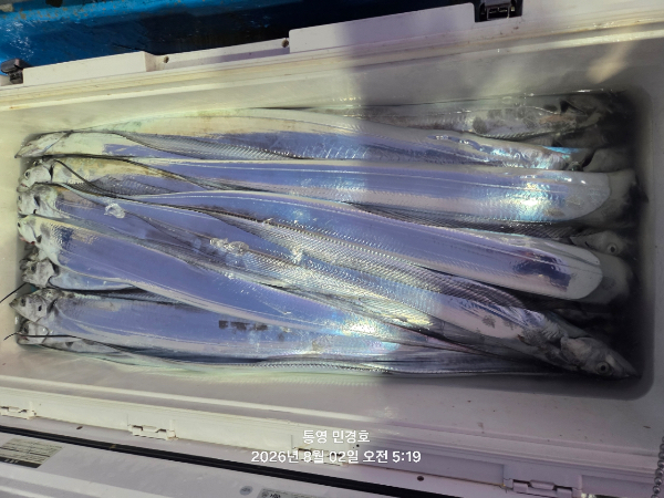 140B742E-456B-4543-8D14-228B16ECFF29.jpeg