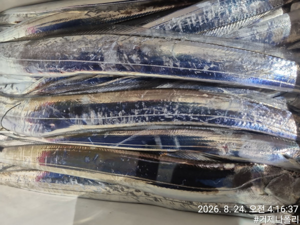 KakaoTalk_20260824_121247758_02.jpg