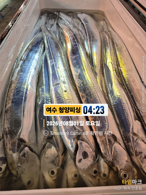 2026-08-01 04.23.56__(제목-여수 청양피싱).jpg