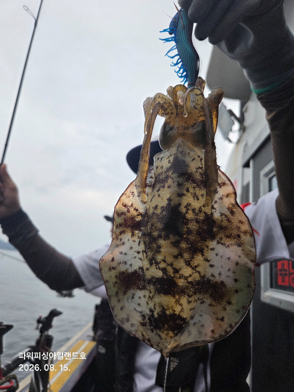 20260815_175343.jpg